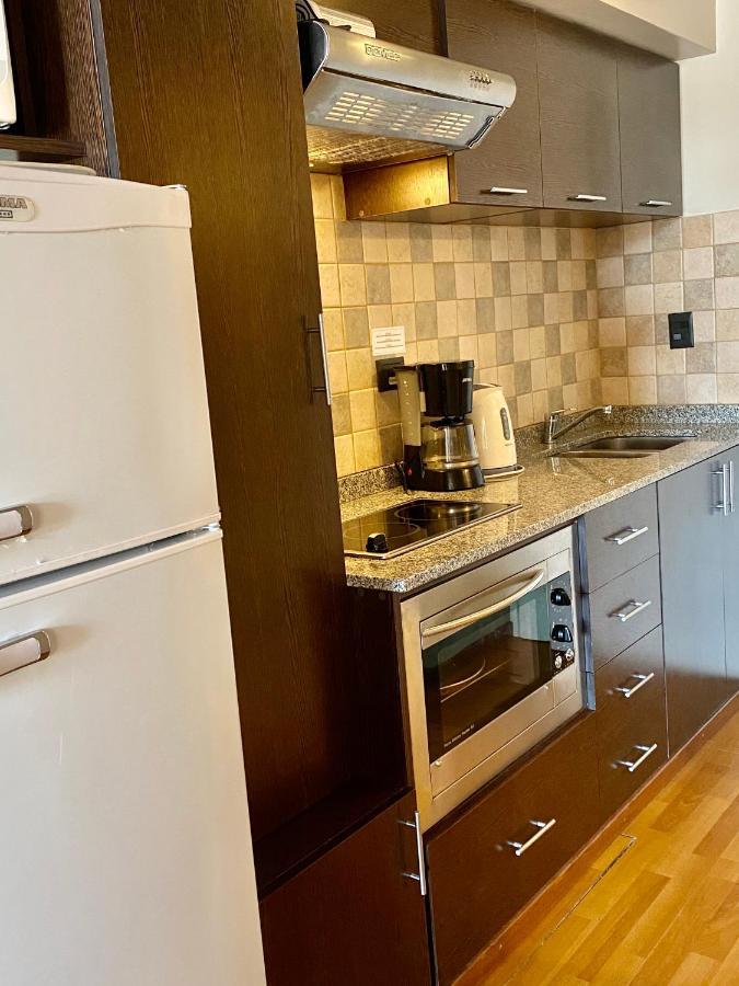 460 Loft Apartments San Carlos de Bariloche Eksteriør billede